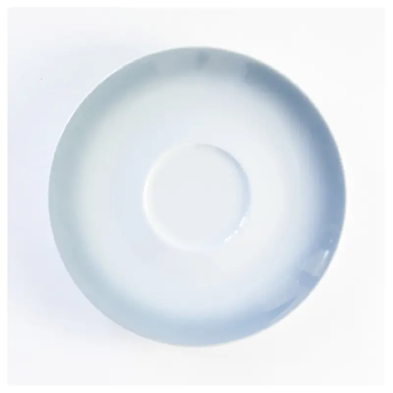 BauscherHepp 716909-730245 4-7/10 Inch Dia Round Demitasse Saucer Porcelain Nuance Lightgrey Decor