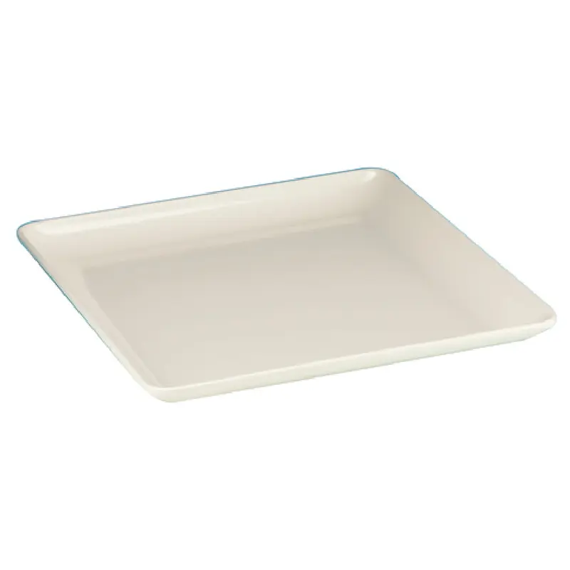 BauscherHepp M-136 10 Inch White Square Plate Melamine Dishwasher Safe