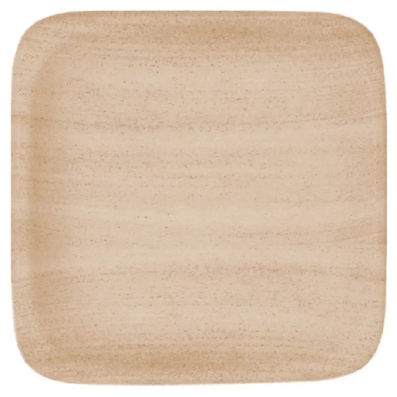 BauscherHepp 111529-820301 8-1/2 Inch Square Plate Porcelain Ceramica Sand Decor