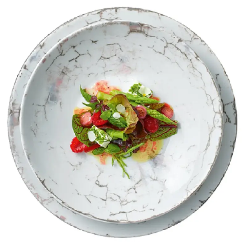 Bauscher Hepp 711324-360213 9-2/5 Inch Diameter Round Plate Porcelain