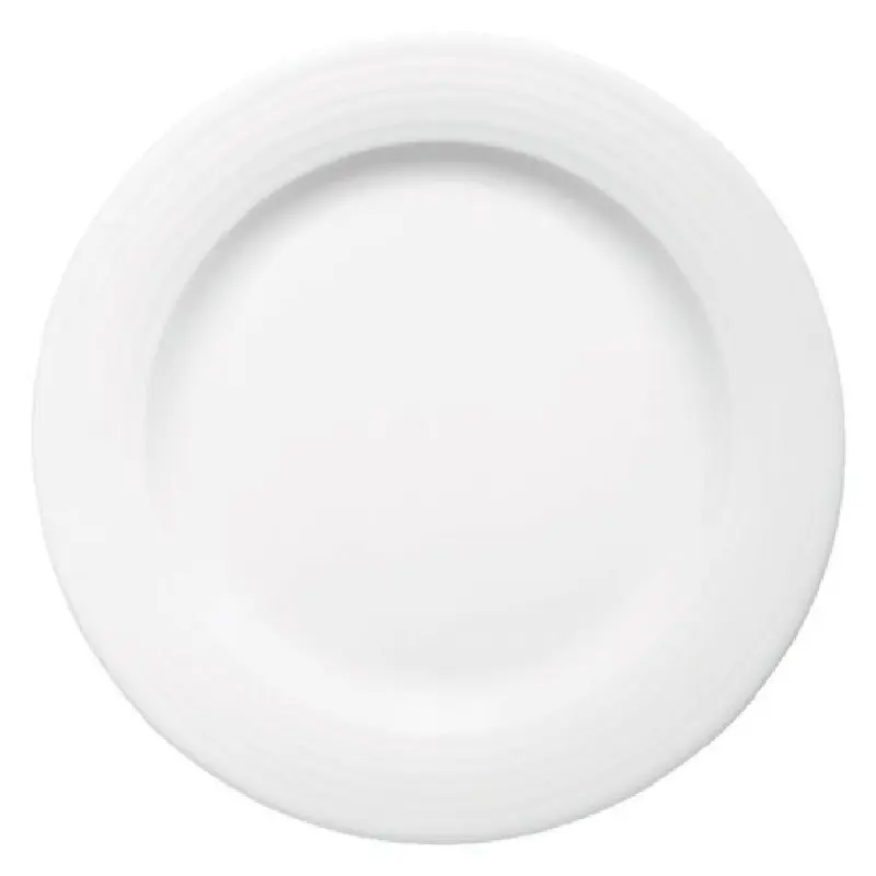 Bauscher Hepp 800023-425349 9 Inch Diameter Round Plate Wide Rim Porcelain