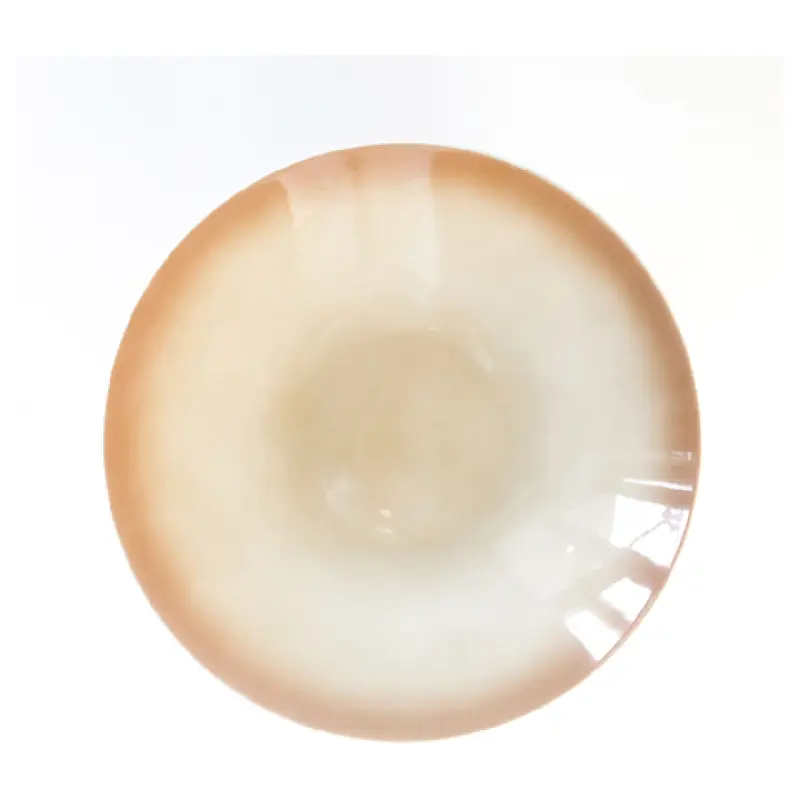 BauscherHepp 711324-730243 33-7/8 Oz Porcelain Coupe Plate Round Nuance Burlywood Decor