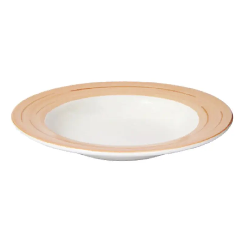 Tableware Solutions USA 55CCNAM103 28oz Pasta/Soup Plate 11 Inch Scratch Resistant