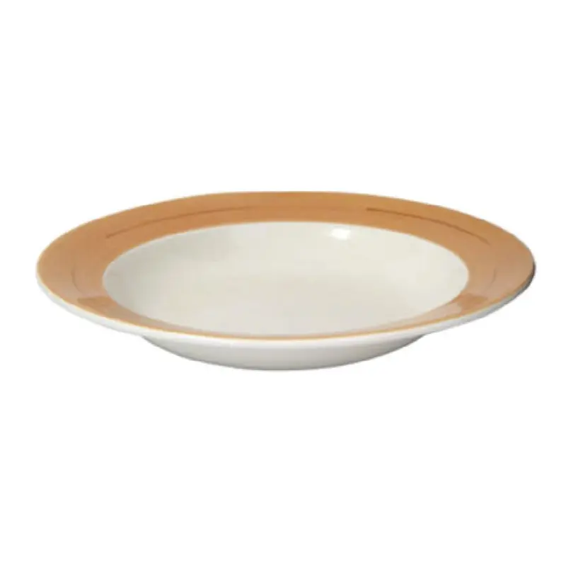 Tableware Solutions USA 55CCNAM104 22 Oz Pasta Soup Plate 10-1/4 Inch Round