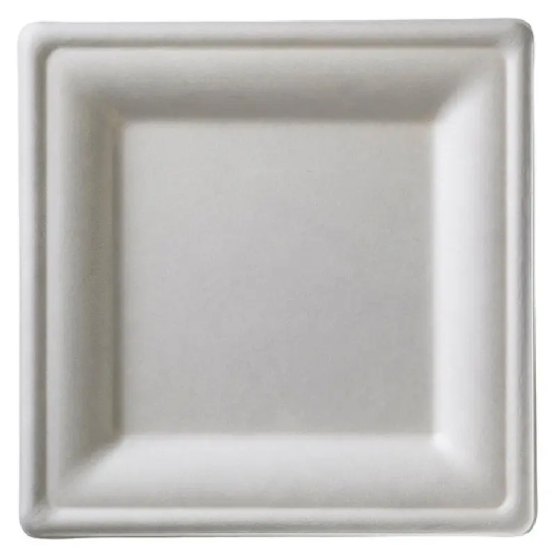 Tableware Solutions USA Q2025 10-1/4 Inch Square Disposable Plate Biodegradable White 50 Packs