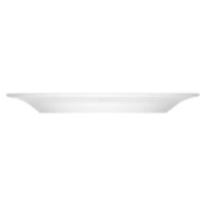BauscherHepp 110025 10 Inch Dia Flat Plate with Rim Porcelain White
