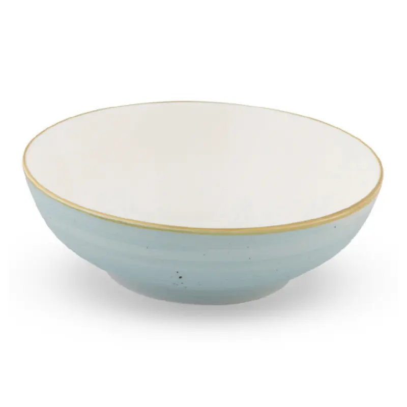 Bon Chef 2060003P-SB 8 Inch Tavola Coupe Bowl Alumina Vitrified Hand-Painted Sky Blue