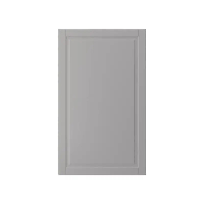 BODBYN door, grey, 60x100 cm