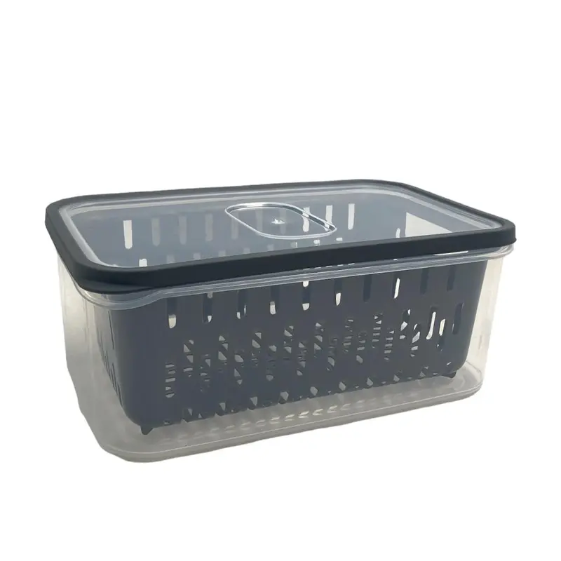 Fresh Storage Box With Strainer