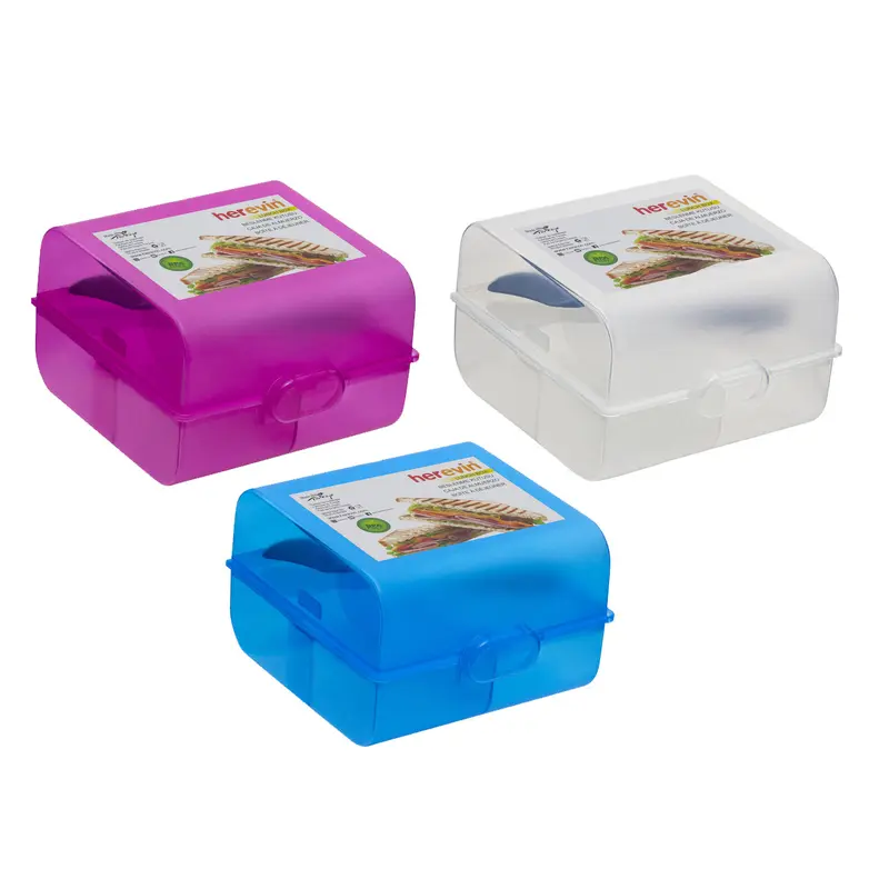 Double Transparent Lunch Box with Spoon