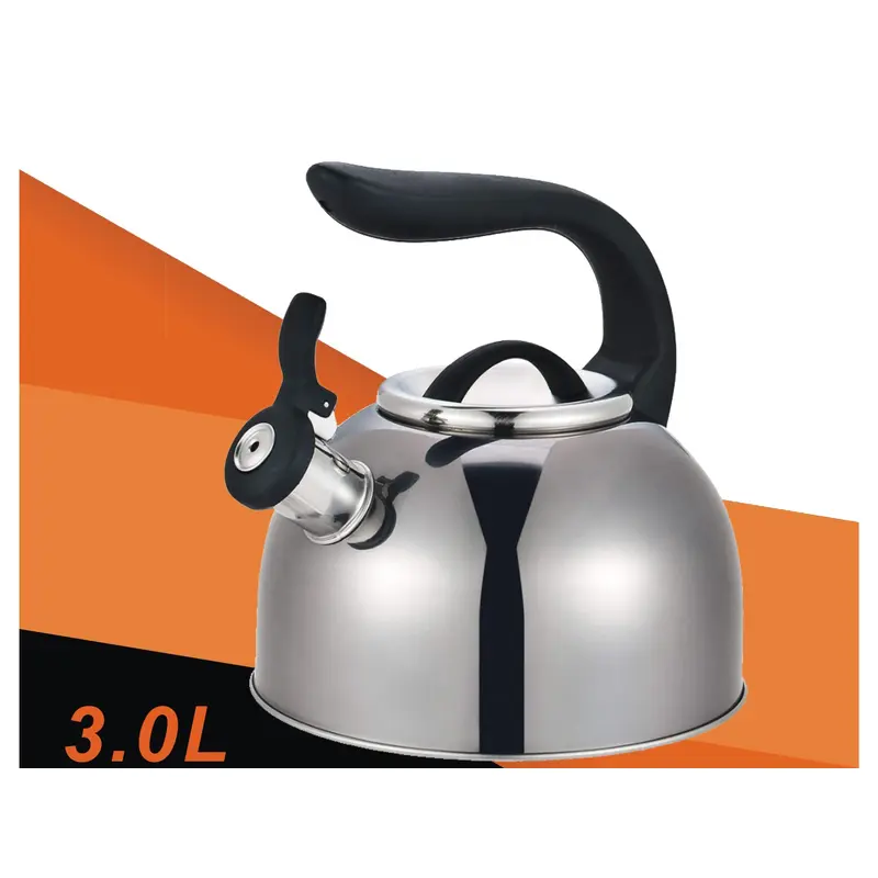 Dosthoff Space Metallic SS 18/10 Whistling Kettle 3.0 L