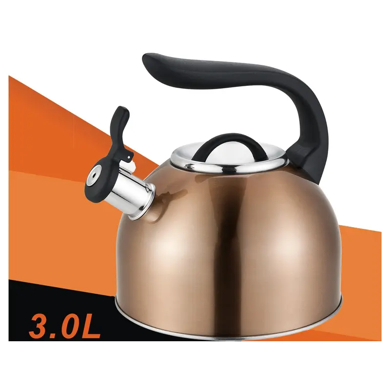 Dosthoff Copper Shine SS 18/10 Whistling Kettle 3.0 L