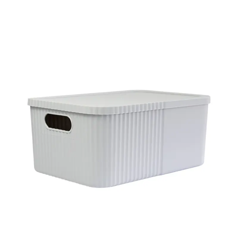 Decobella Large Box with Lid 12L