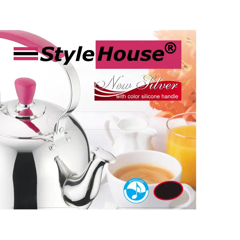 Colored Stainless Steel Teapot; 2 lt