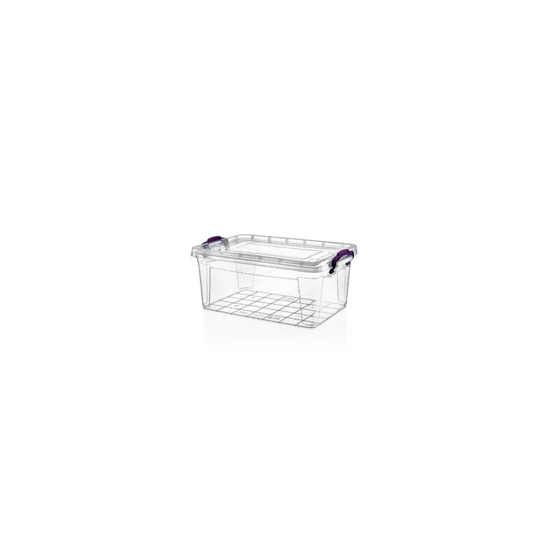 Clear Storage Box; 0.32 lt X2