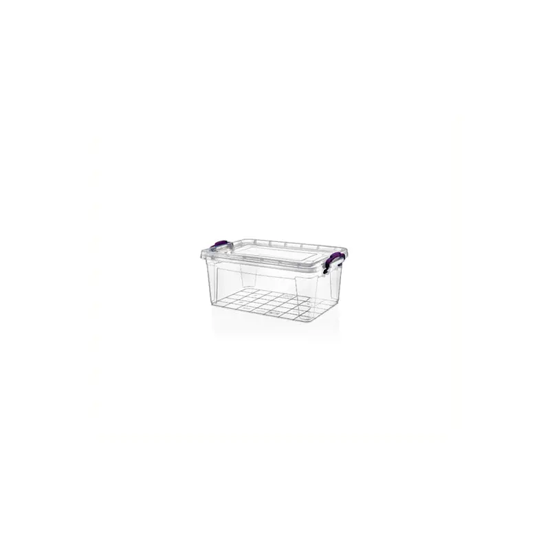 Clear Storage Box; 0.5 lt X2