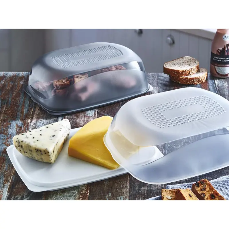 Big Plastic Cheese Keeper and Presentation Board