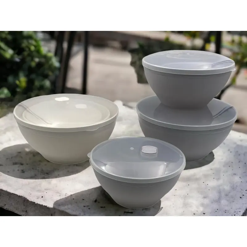 Armada Plastic Salad Bowl Set with Covers