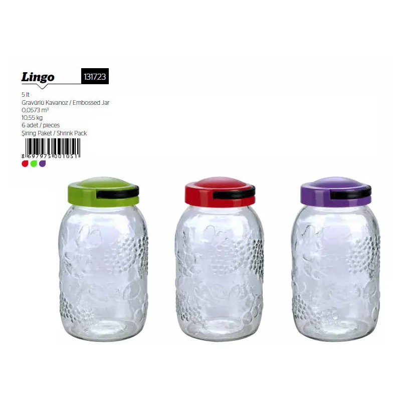 Storage Glass Jar with Plastic Lid and Handle
