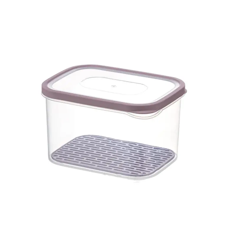 Small Fresh Storage Box With Strainer