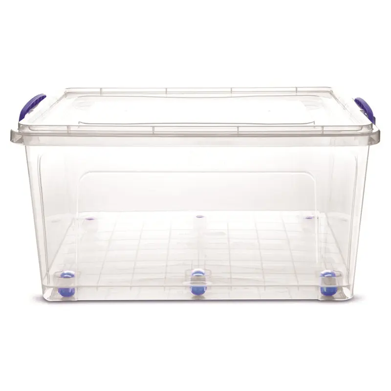 80 lt Deep Clear Box