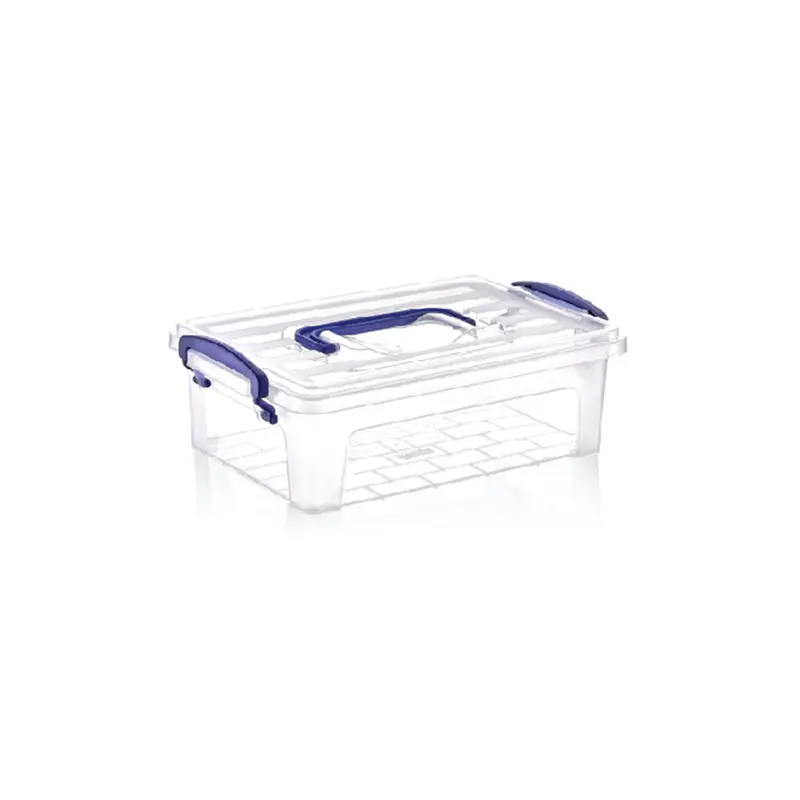 6 lt Clear Box with Handle