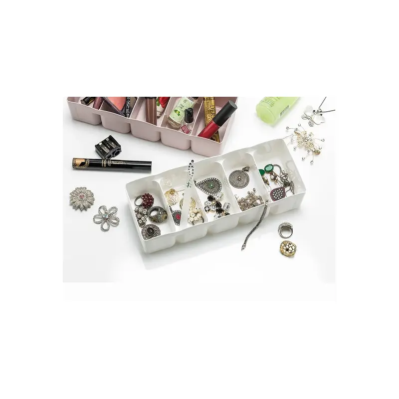 5 Grids Plastic Organizer