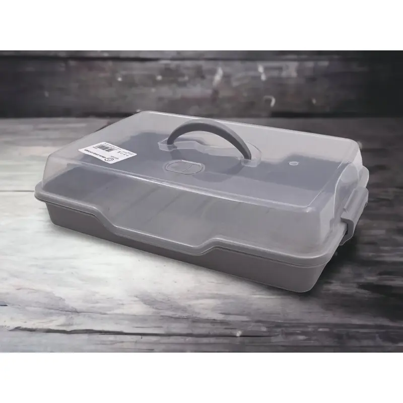 Rectangular Cookie and Pastry Carrier 34 cm