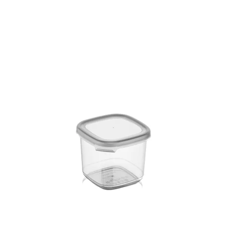 Peggy Square Storage Box 550 ml
