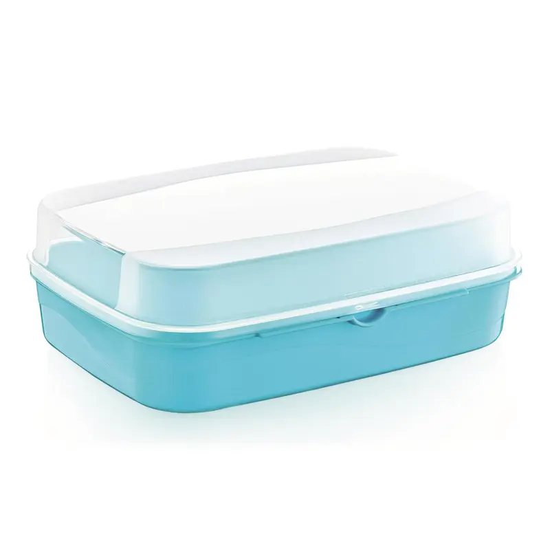 Large Storage Box with Transparent Cover