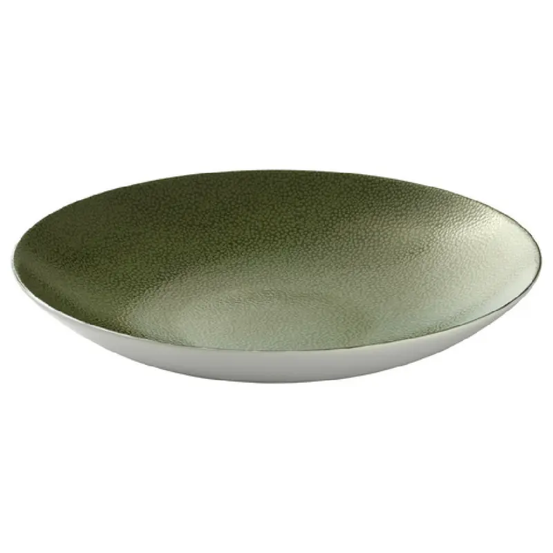 BauscherHepp 691329-425914 11 Inch Plate 59.2 Oz Round Deep Coupe Porcelain