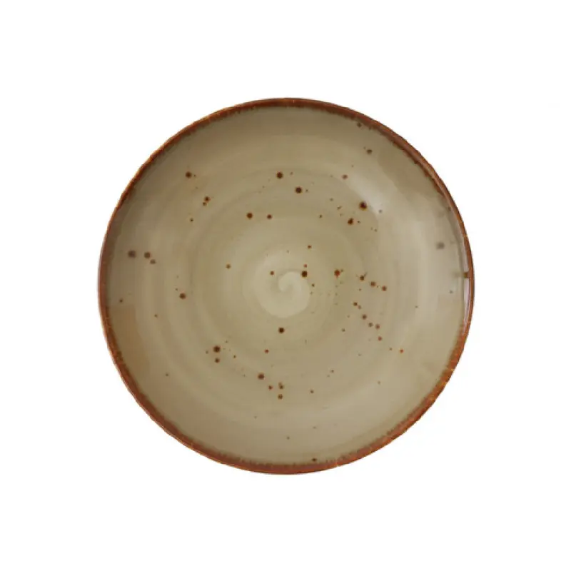 Fortessa TC7300.DV.4.98 10.25 Inch Pasta Bowl Coupe Vitrified Bone China