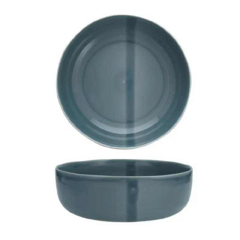 Fortessa 8200.SVEL.DB.06 9 Inch Bowl Dishwasher Safe Deep Blue Vitrified Stoneware