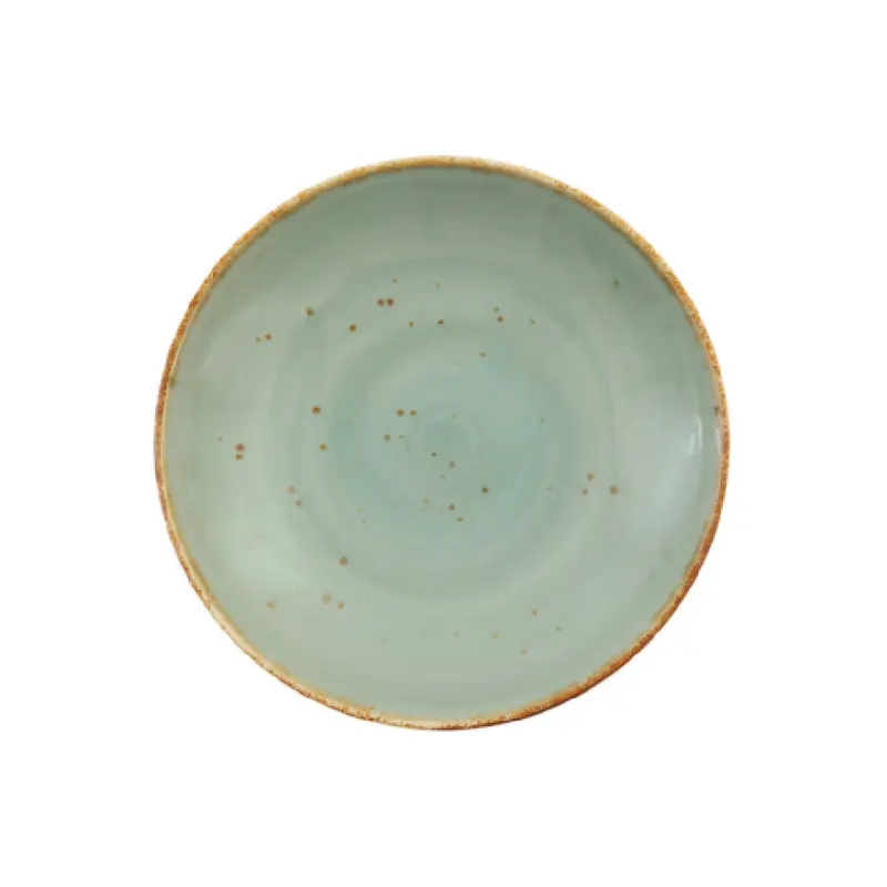 Fortessa TC7300.DV.5.98 10.25 Inch Coupe Pasta Bowl Celadon Vitrified China