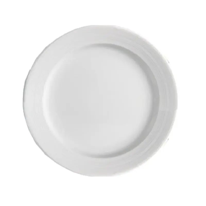Yanco PA-110 10-1/2 Inch Round Dishwasher Oven Microwave Safe Porcelain Plate
