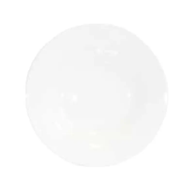 Churchill China WH RPP 1 Pasta Plate 11-3/4" Dia. Round